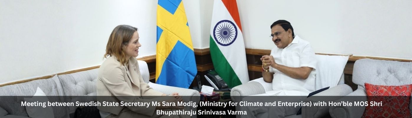 Hon’ble MOS and Swedish State Secretary
